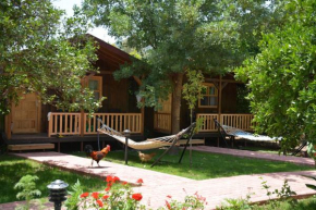Гостиница Caretta Caretta Pension  Кемер